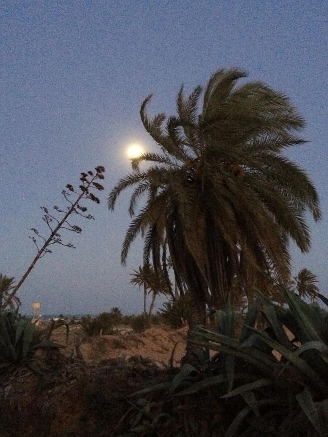 مبيت وإفطار Temlale Dar Jasmin Djerba المظهر الخارجي الصورة