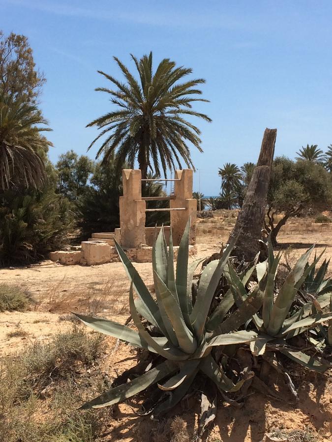 مبيت وإفطار Temlale Dar Jasmin Djerba المظهر الخارجي الصورة
