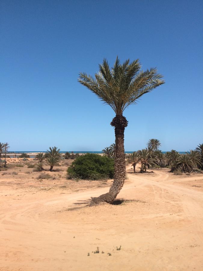 مبيت وإفطار Temlale Dar Jasmin Djerba المظهر الخارجي الصورة